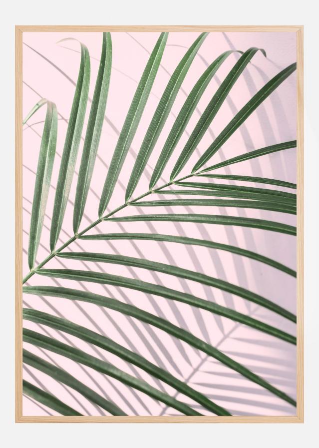 Bildverkstad Palm Leaf Shadow Poster