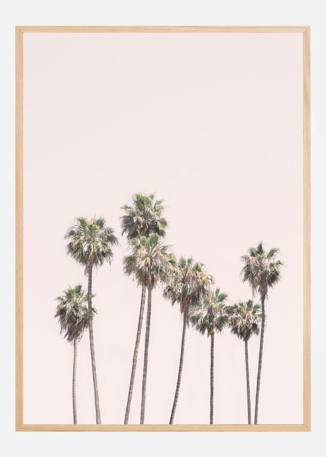 Bildverkstad Blush Palms Poster