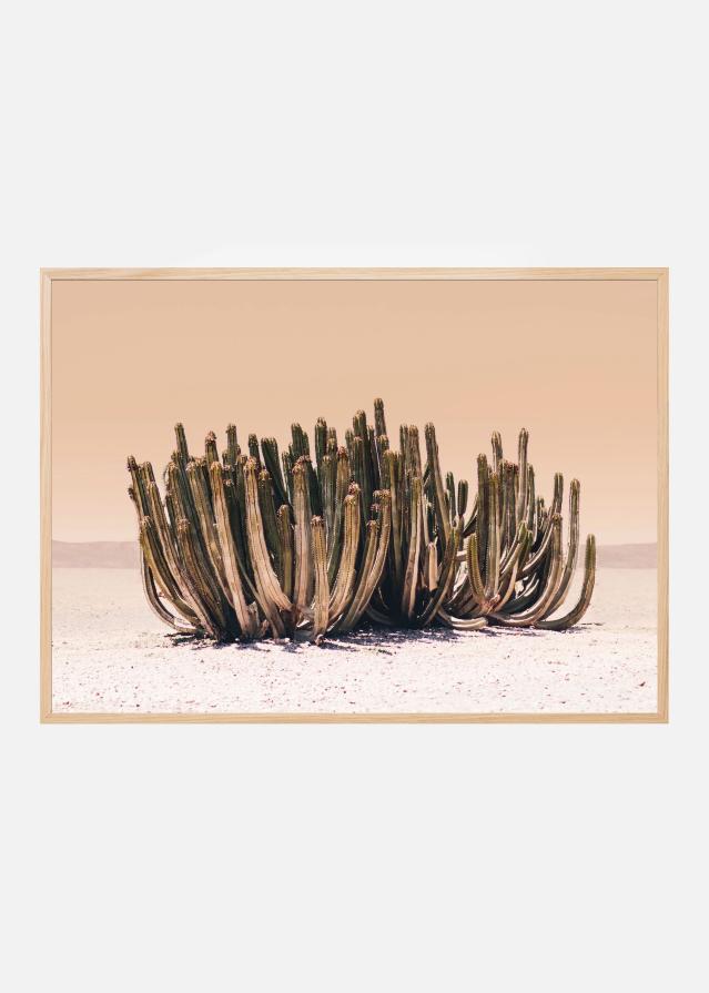 Bildverkstad Peach Sky Cactus Poster