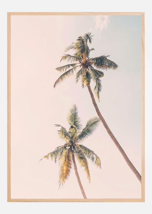 Bildverkstad Tropical Palms Poster