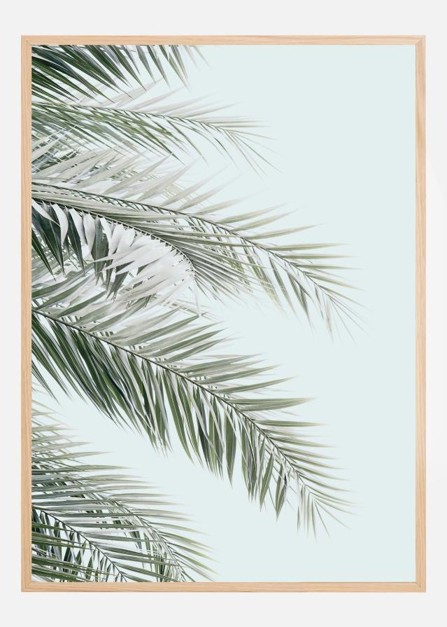 Bildverkstad Blue Palms Poster