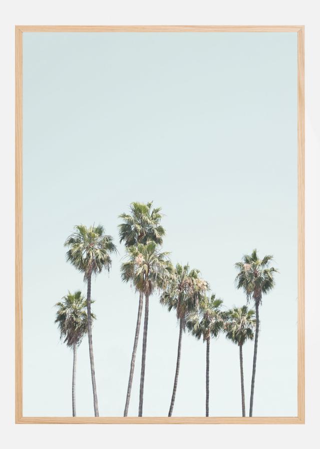 Bildverkstad Blue Palm Trees Poster