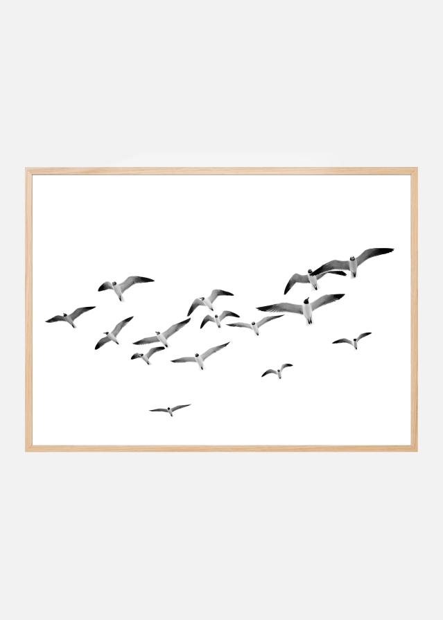 Bildverkstad Flying Birds Poster
