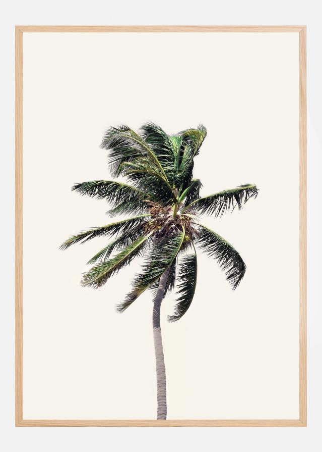 Bildverkstad Windy Palm Tree Poster