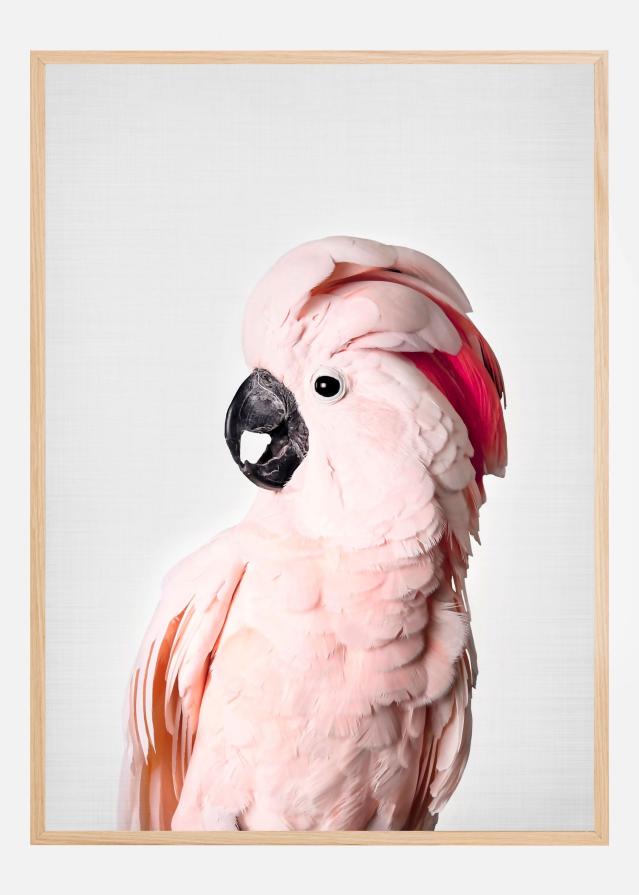 Bildverkstad Pink Cockatoo Poster