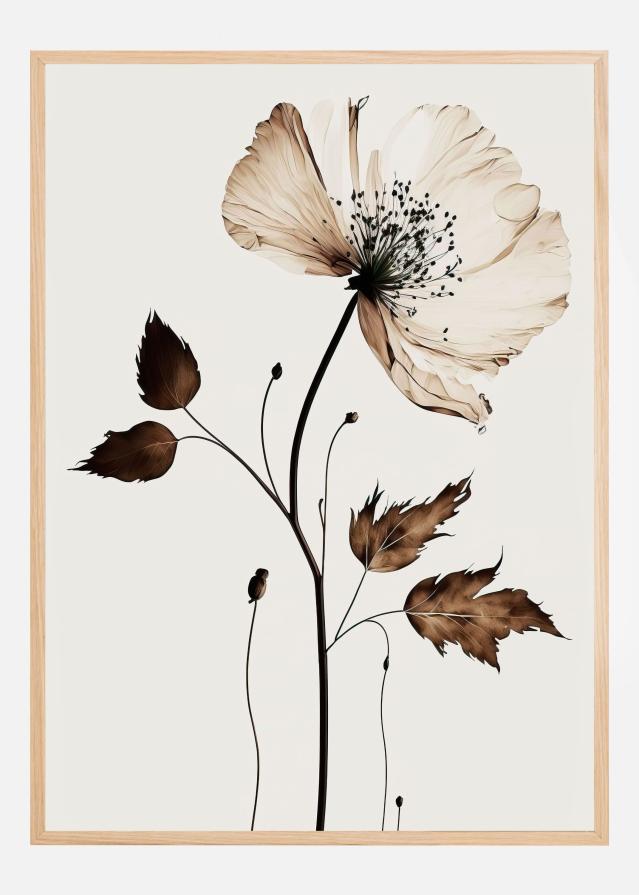 Bildverkstad The Coffee Flower Poster