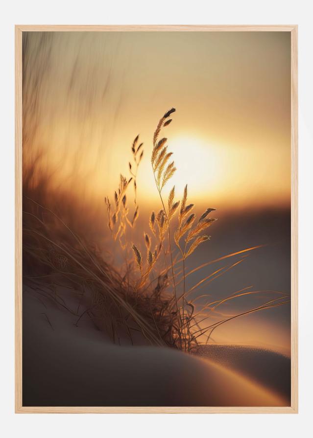 Bildverkstad Evening Sun At The Beach Poster