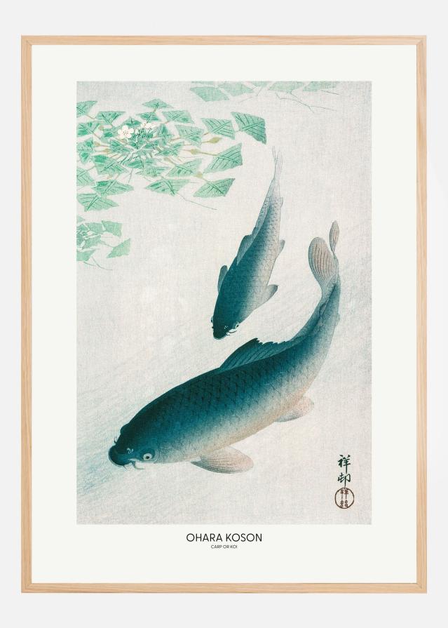 Bildverkstad Carp Or Koi Poster