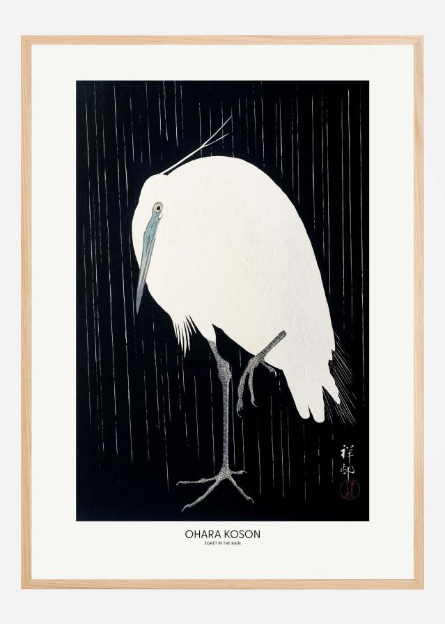 Bildverkstad Egret In The Rain Poster