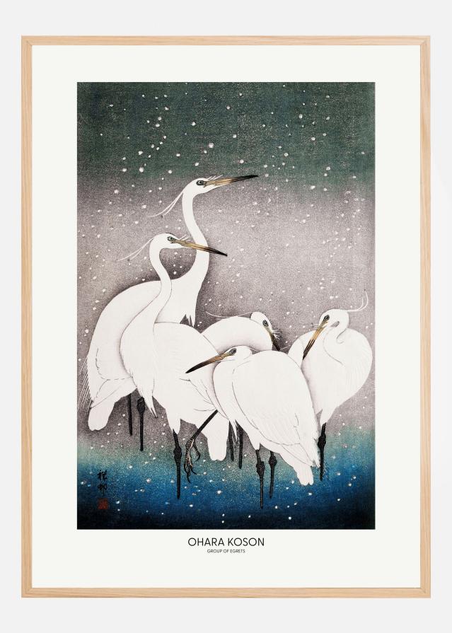 Bildverkstad Group Of Egrets Poster