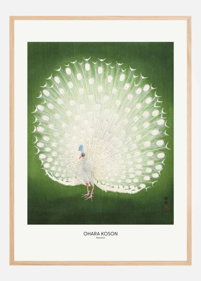 Bildverkstad Peacock - Wide Poster