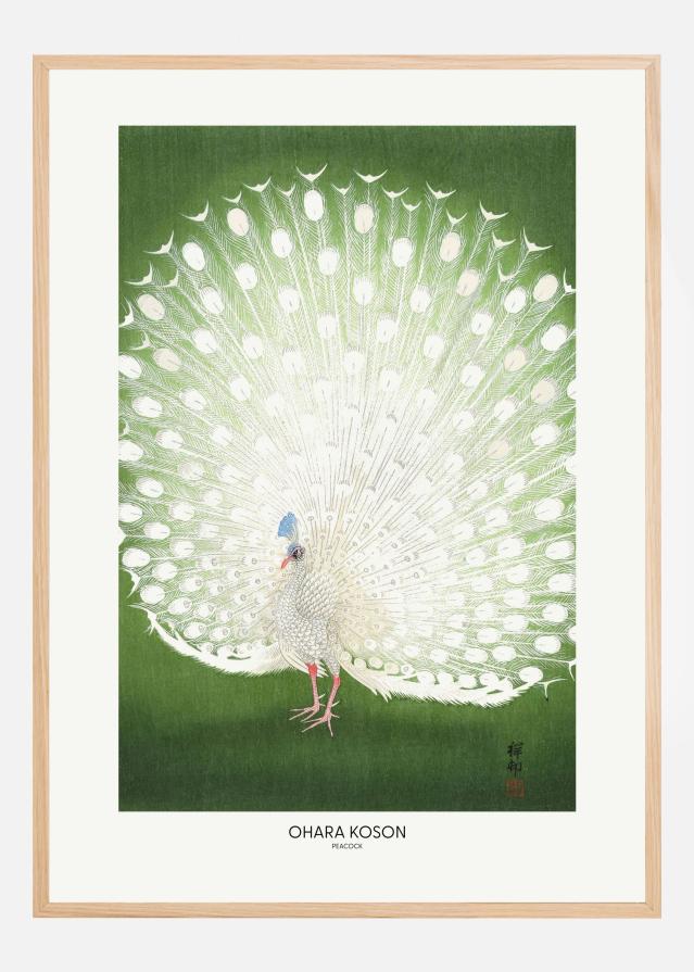 Bildverkstad Peacock - Cropped Poster