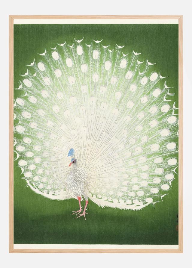 Bildverkstad Peacock Poster