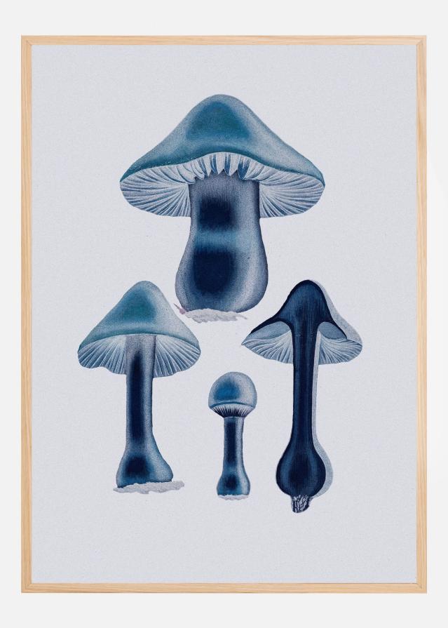 Bildverkstad Agaricus Bulbosus - Blue Poster