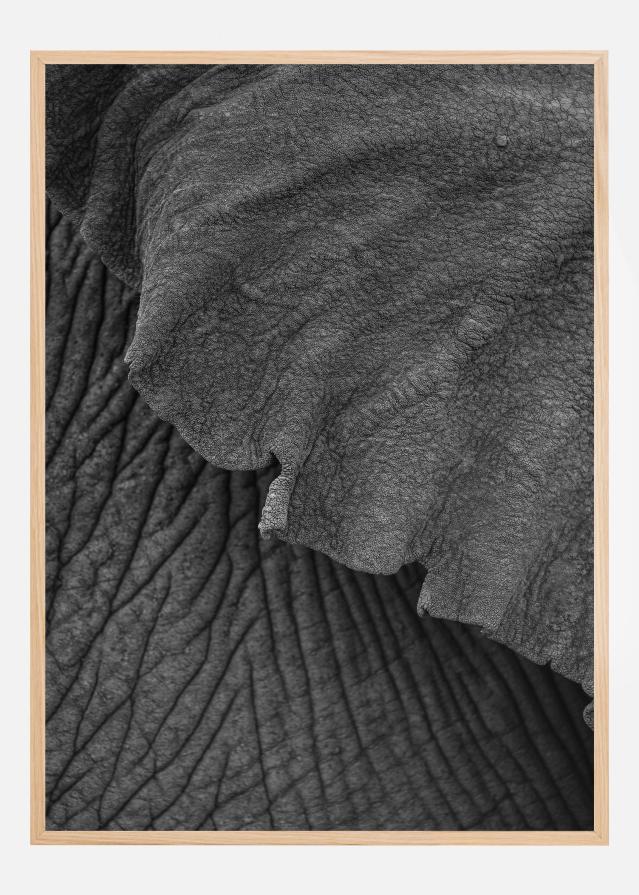 Bildverkstad Olifant 02 Poster