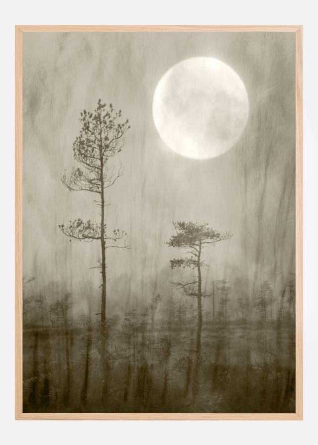 Bildverkstad Moonlight Poster