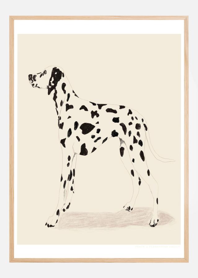 Bildverkstad Pandc Dalmation Poster