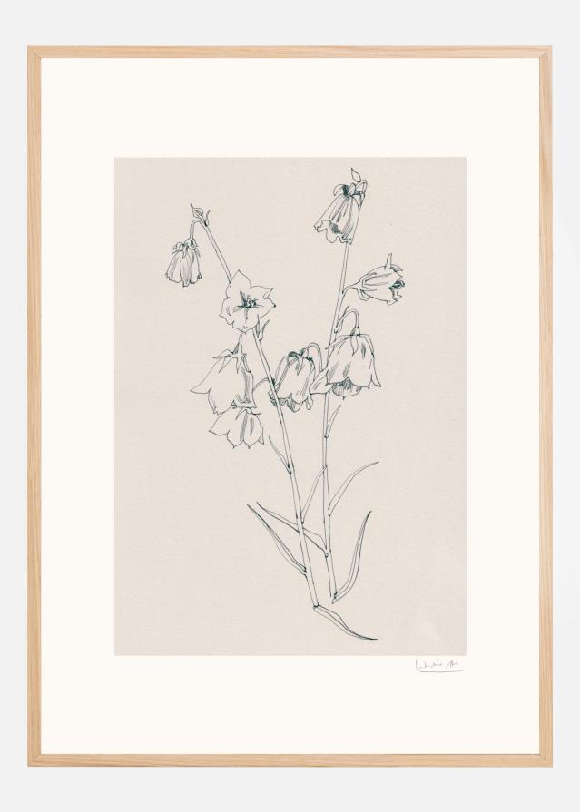 Bildverkstad Bellflowers ink drawing Poster