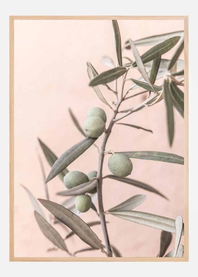 Bildverkstad Olives Poster