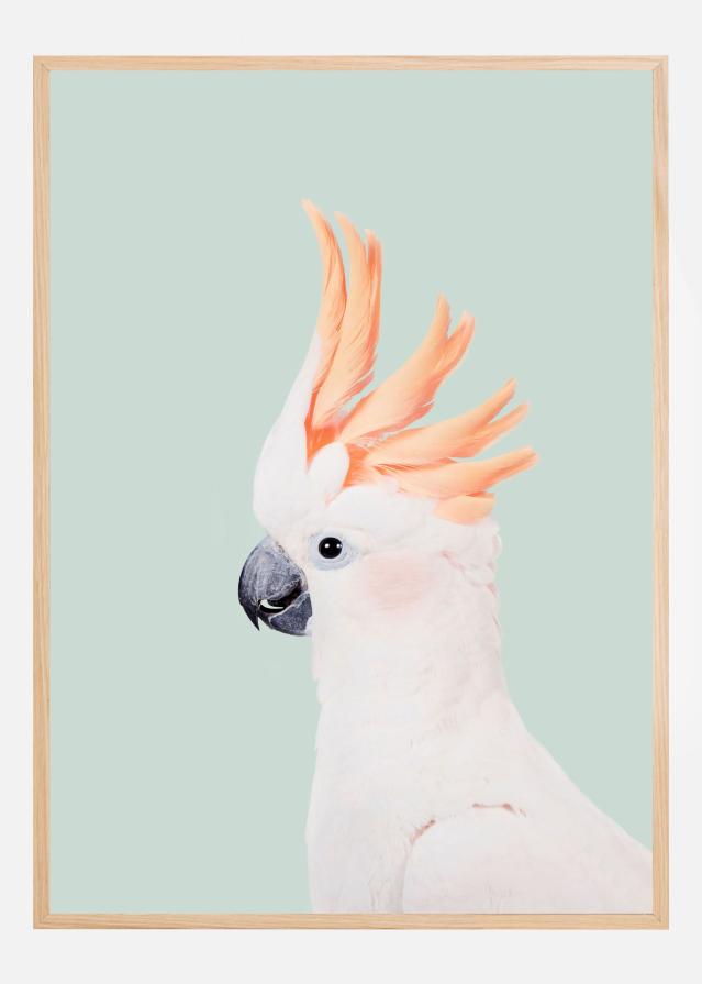 Bildverkstad Cockatoo on Mint Poster