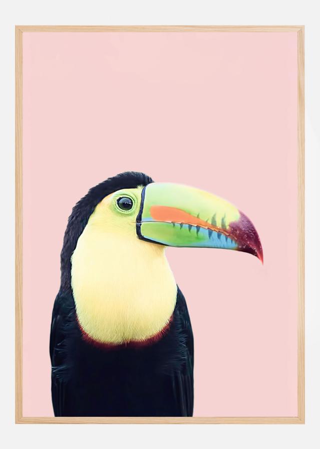 Bildverkstad Toucan on Pink Poster