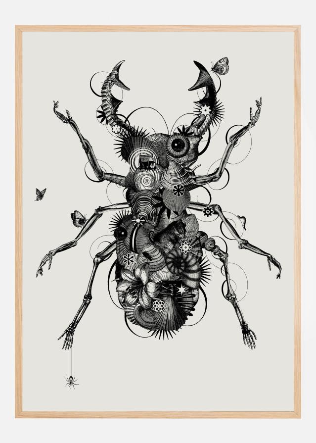 Bildverkstad Stagbeetle Poster