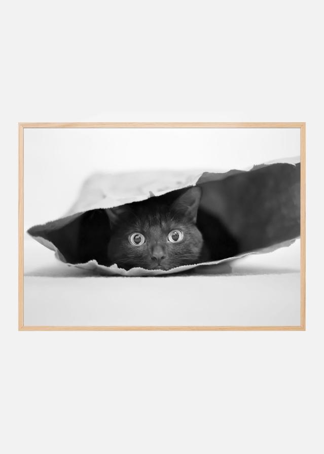 Bildverkstad Cat in a bag Poster