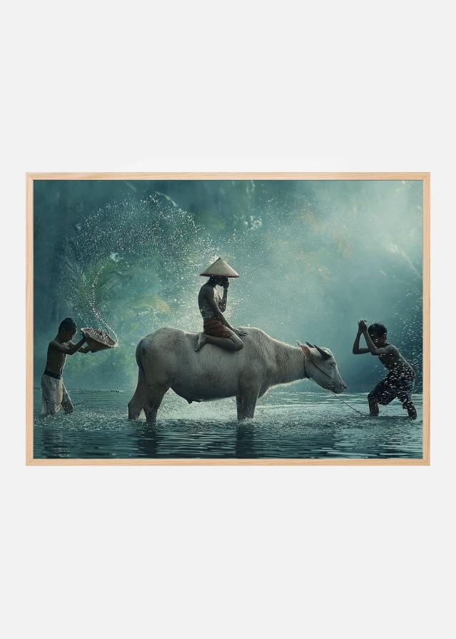 Bildverkstad Water Buffalo Poster