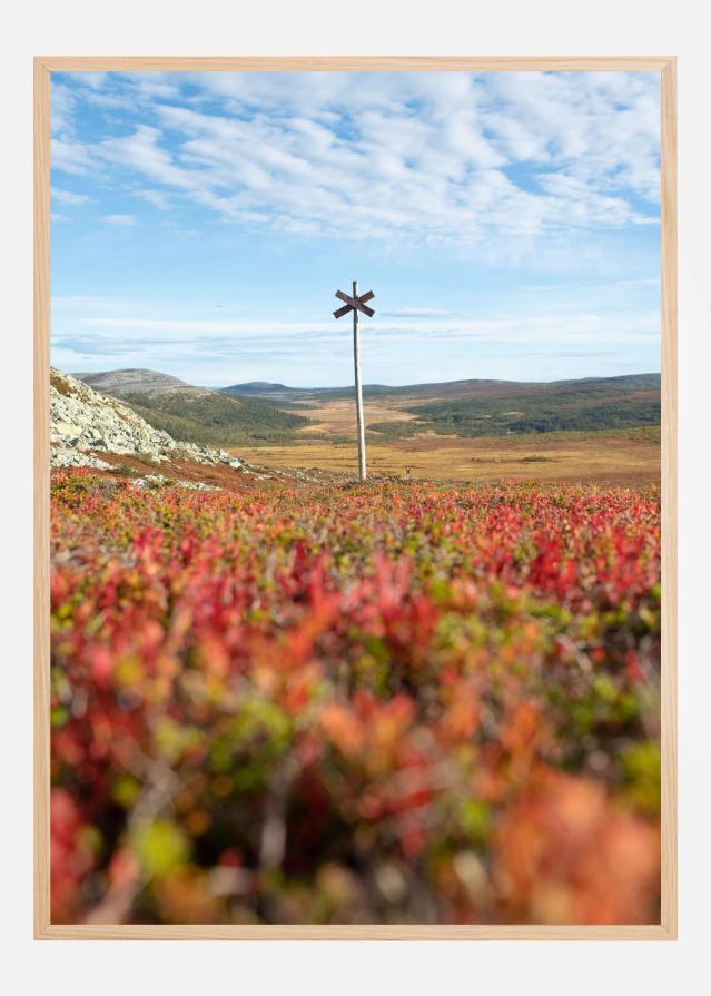 Bildverkstad Summer ridge waypoint Poster