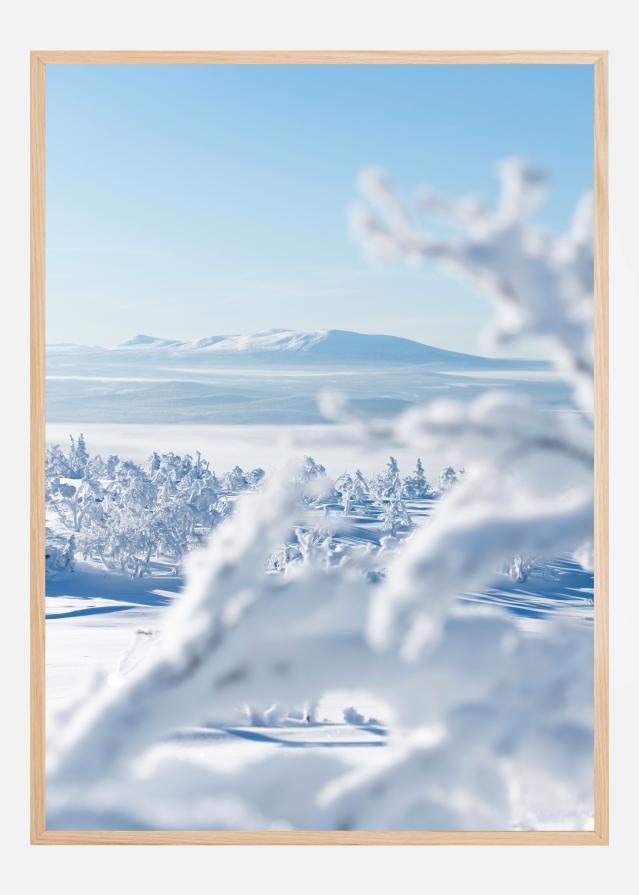Bildverkstad The silence of snowlight Poster