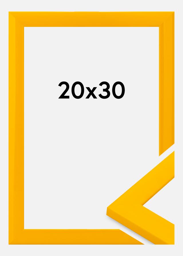 Jämtlands Ramfabrik Kader Dorset Acrylglas Goud 20x30 cm