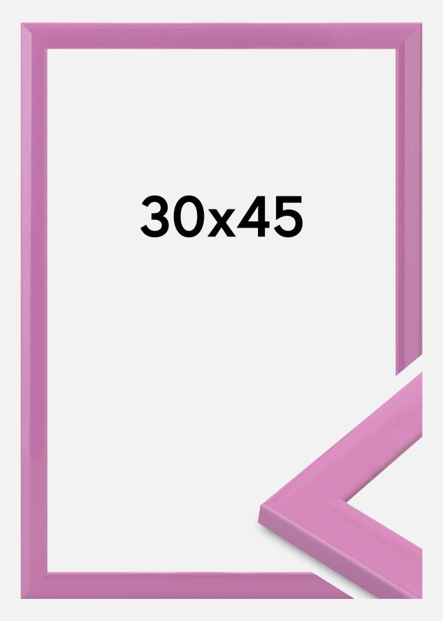 Jämtlands Ramfabrik Kader Dorset Acrylglas Roze 30x45 cm