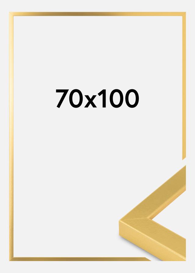 Innova Fotolijsten Goud Breed 70 x 100 cm