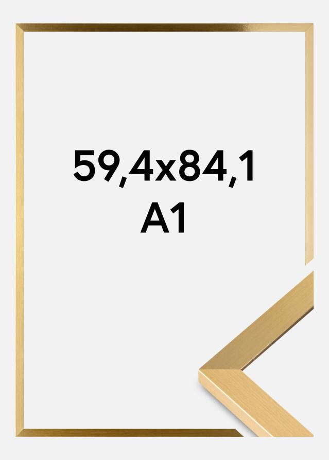 BGA Kader Selection Acrylglas Goud 59,4x84,1 cm (A1)