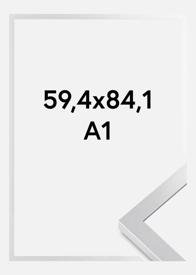 BGA Kader Selection Acrylglas Zilver 59,4x84,1 cm (A1)