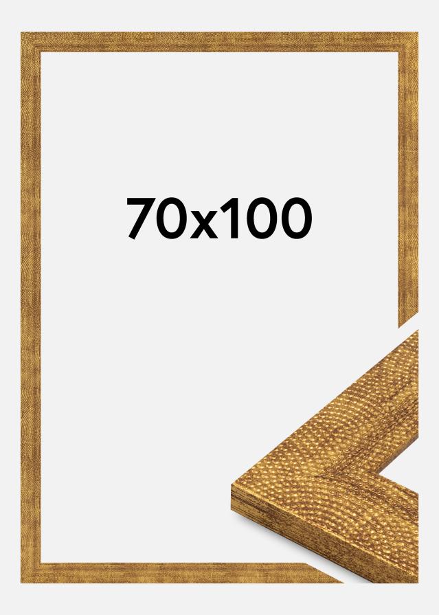 Jämtlands Ramfabrik Kader Linea Acrylglas Goud 70x100 cm