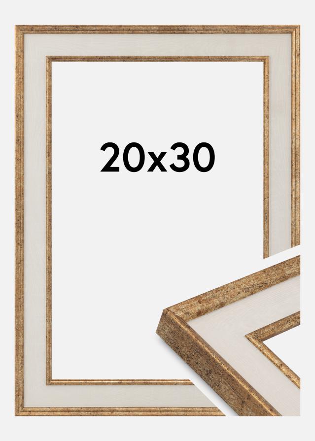 Jämtlands Ramfabrik Kader Dolly Acrylglas Goud 20x30 cm