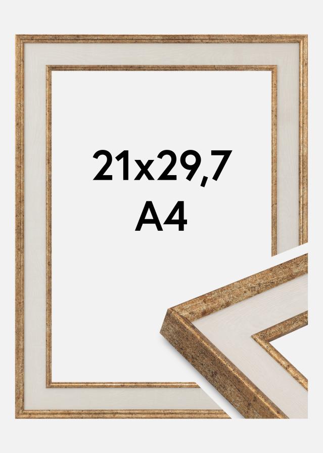 Jämtlands Ramfabrik Kader Dolly Acrylglas Goud 21x29.7 cm (A4)