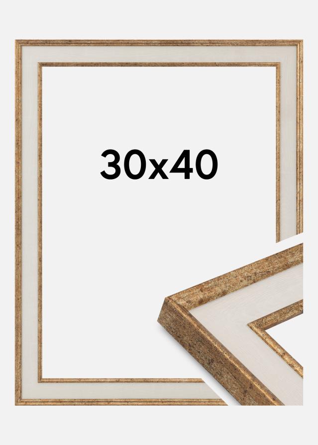 Jämtlands Ramfabrik Kader Dolly Acrylglas Goud 30x40 cm