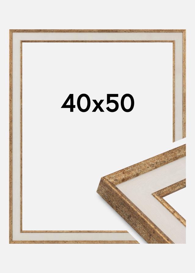 Jämtlands Ramfabrik Kader Dolly Acrylglas Goud 40x50 cm