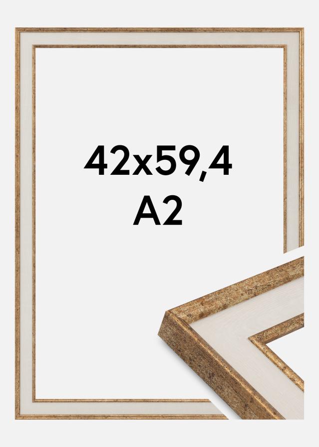 Jämtlands Ramfabrik Kader Dolly Acrylglas Goud 42x59,4 cm (A2)