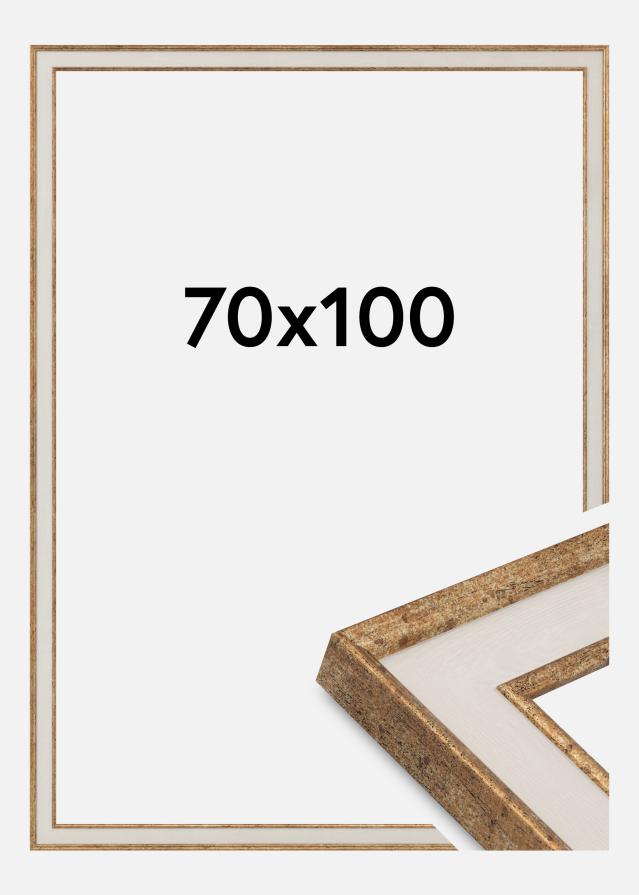 Jämtlands Ramfabrik Kader Dolly Acrylglas Goud 70x100 cm