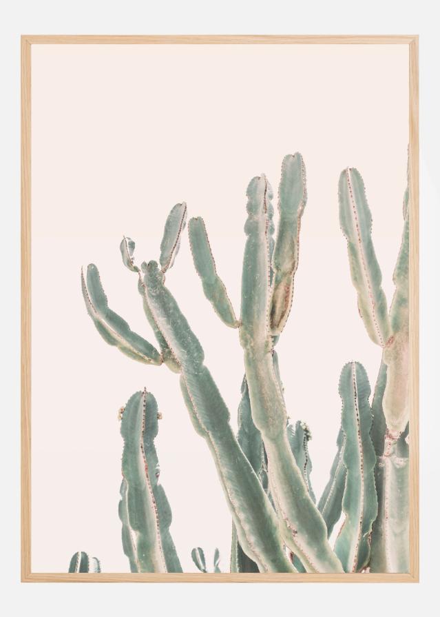 Bildverkstad Sunrise Cactus Poster