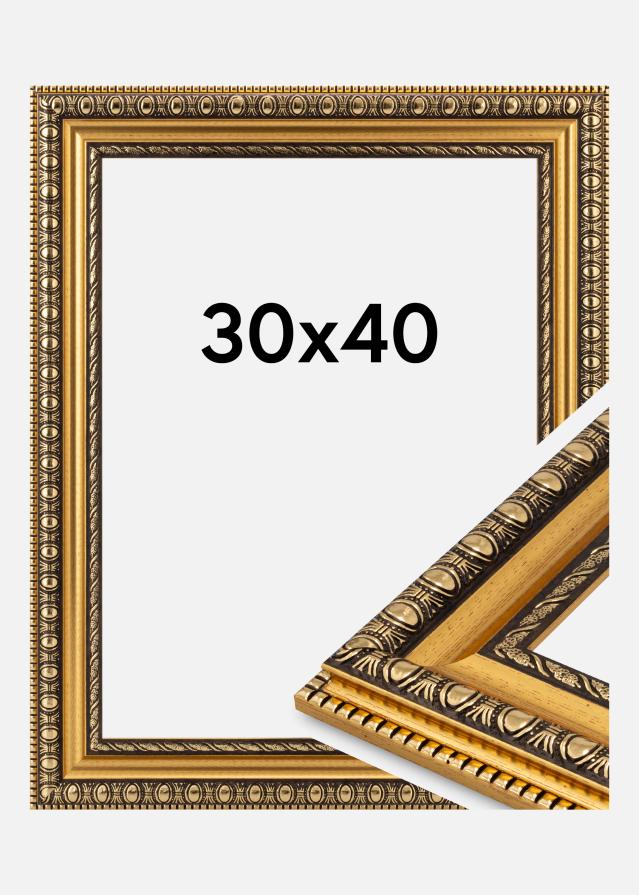 Jämtlands Ramfabrik Kader Ornato Acrylglas Goud 30x40 cm