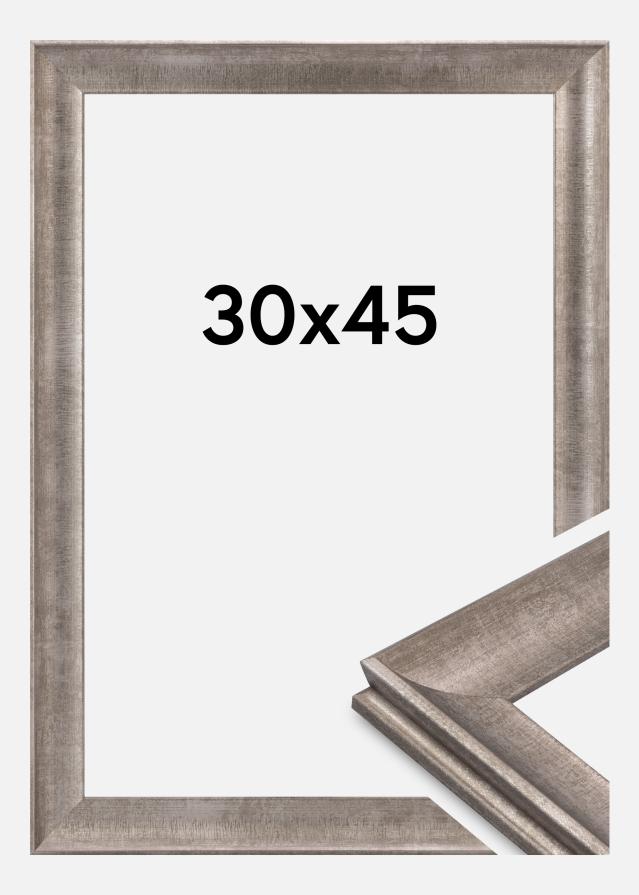 Jämtlands Ramfabrik Kader Conca Acrylglas Zilver 30x45 cm