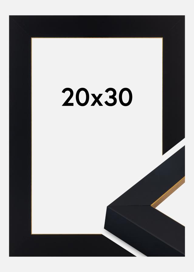 Jämtlands Ramfabrik Kader Sussex Acrylglas Zwart/Goud 20x30 cm