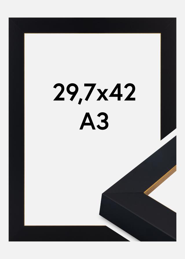 Jämtlands Ramfabrik Kader Sussex Acrylglas Zwart/Goud 29,7x42 cm (A3)