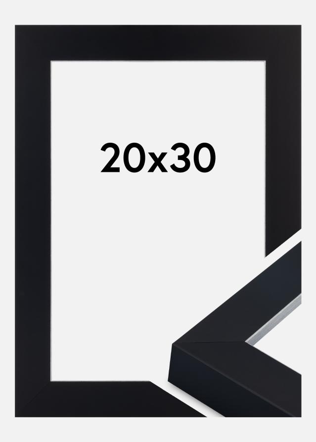 Jämtlands Ramfabrik Kader Sussex Acrylglas Zwart/Zilver 20x30 cm