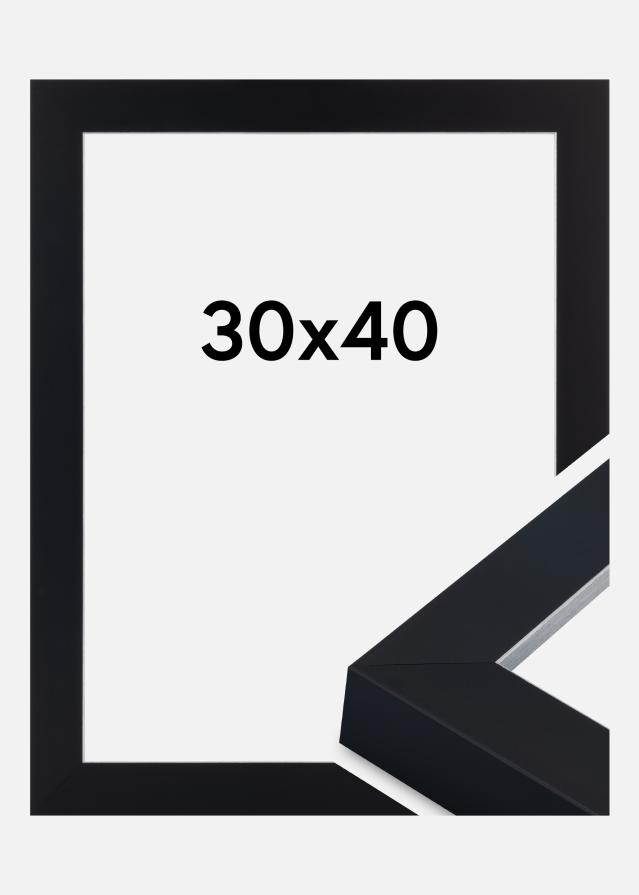 Jämtlands Ramfabrik Kader Sussex Acrylglas Zwart/Zilver 30x40 cm