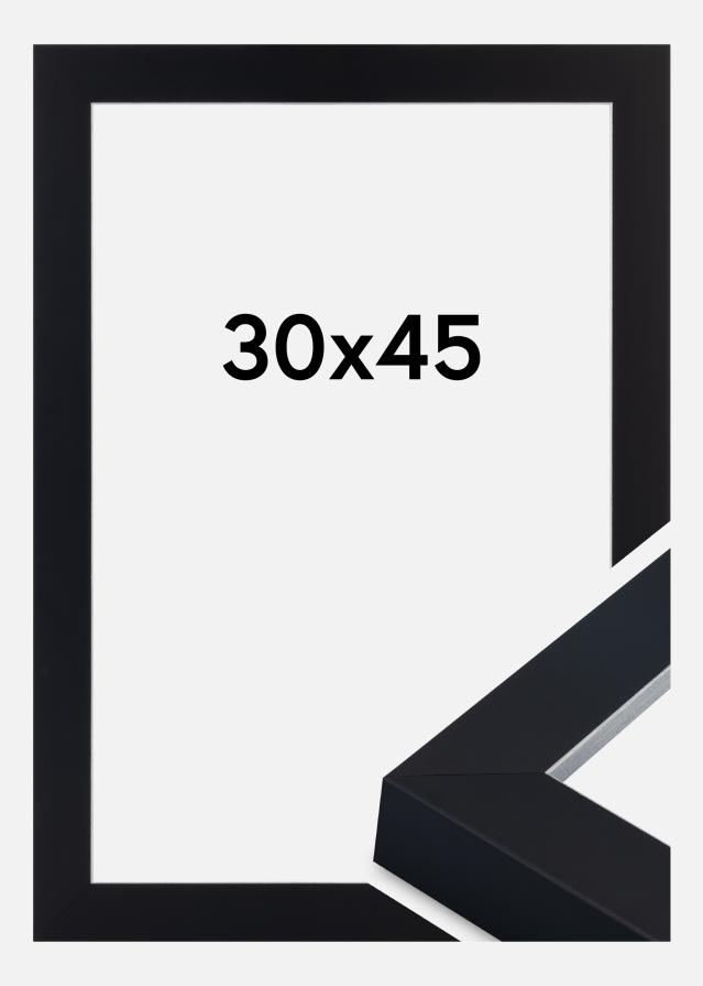 Jämtlands Ramfabrik Kader Sussex Acrylglas Zwart/Zilver 30x45 cm
